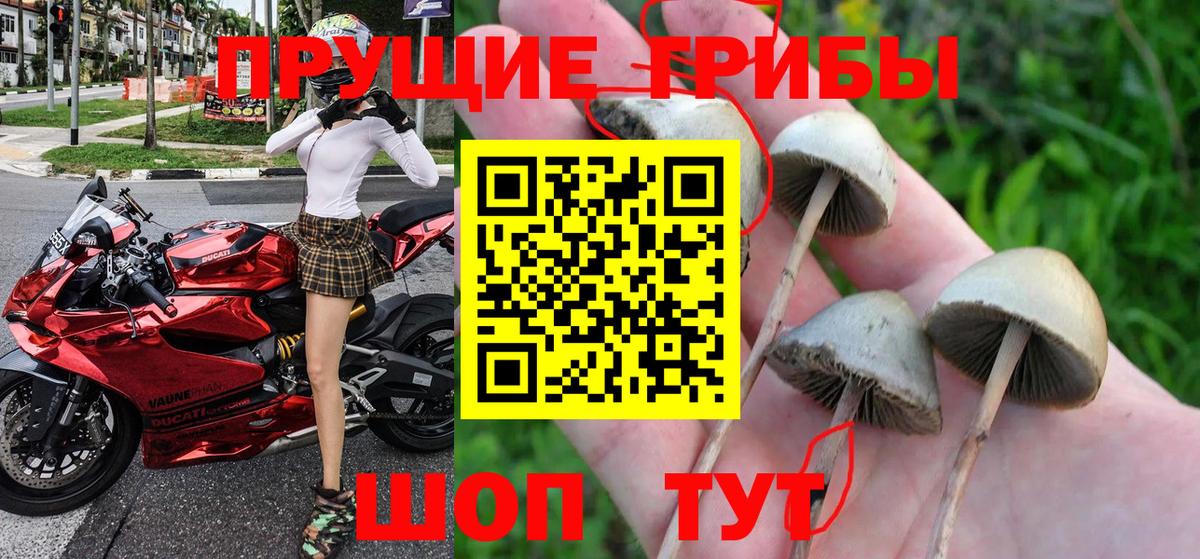 Корсаков  Псилоцибиновые грибы Psilocybe  Вход с VPN  Галлюциногенные грибы Psilocybine cubensis 